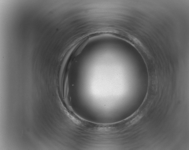 X0000069840985200605261902