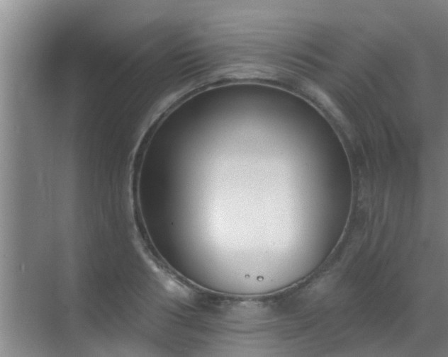 X0000069840986200605261902