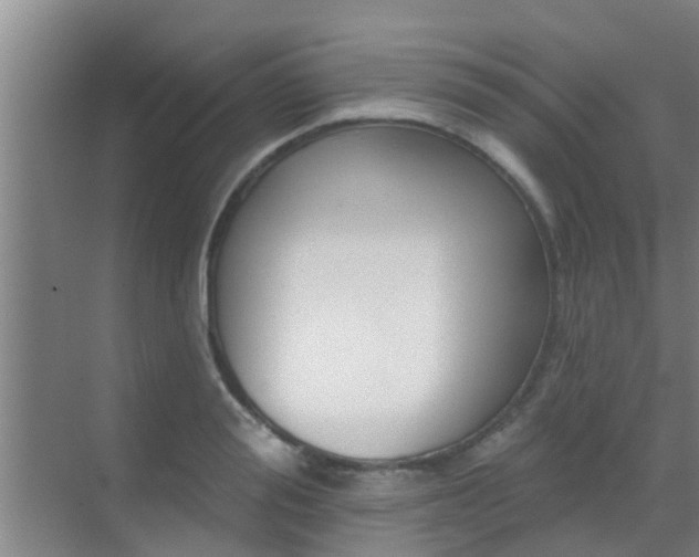 X0000069840988200605261902