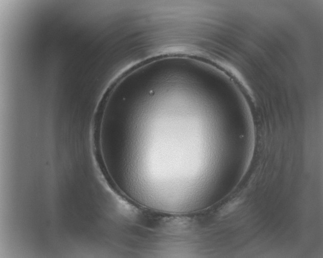 X0000069840991200605261902