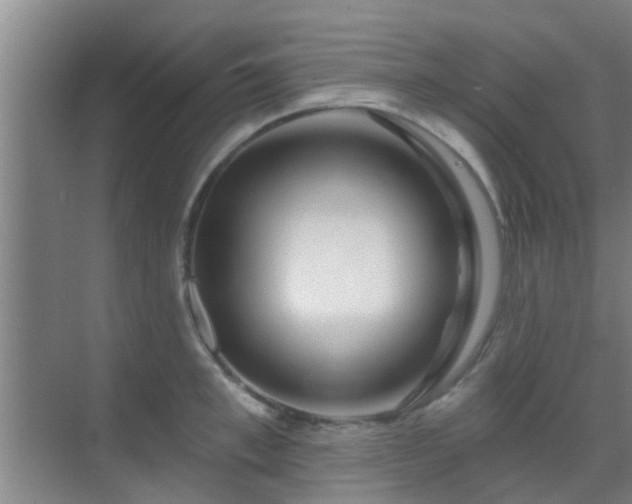 X0000069840997200605261902