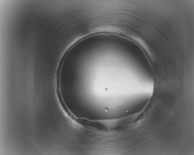 X0000069840999200605261902