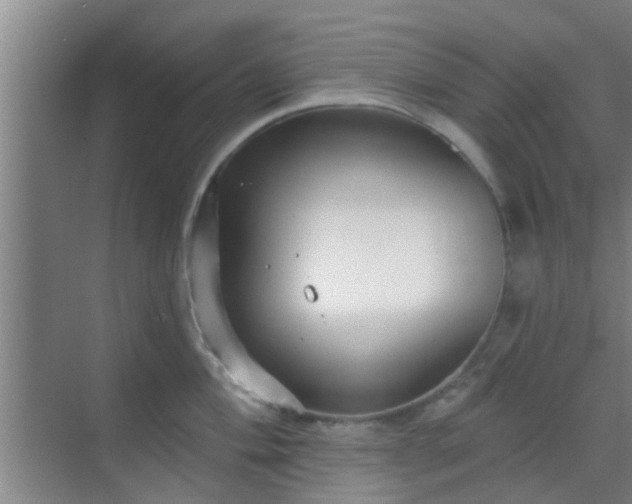 X0000069841004200605261902