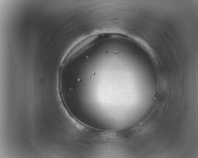 X0000069841006200605261902