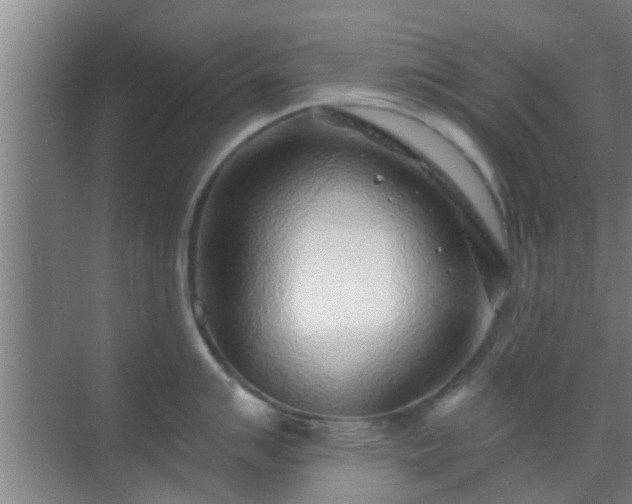 X0000069841007200605261902