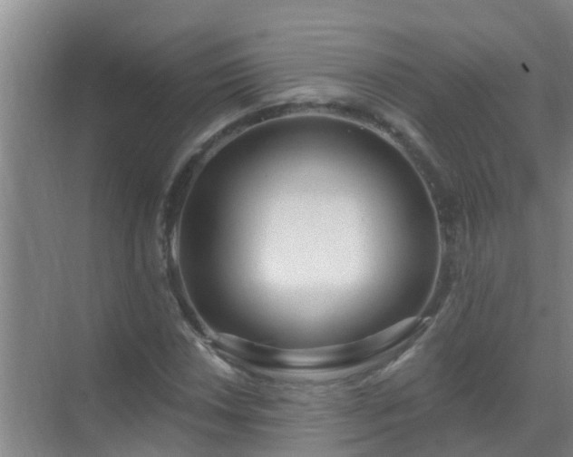 X0000069841018200605261901