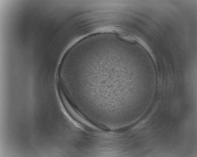 X0000069841045200605261902