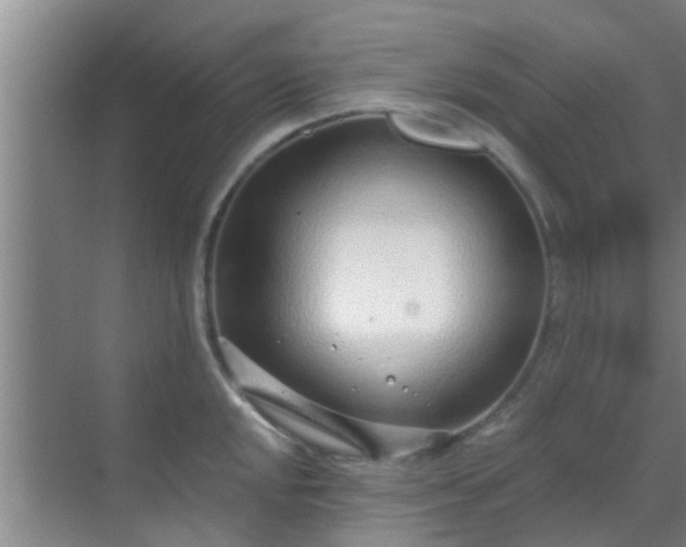 X0000069841048200605261902