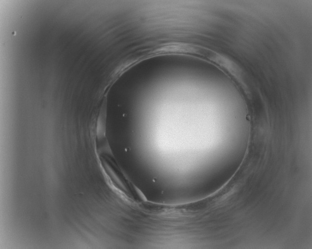 X0000069841049200605261902