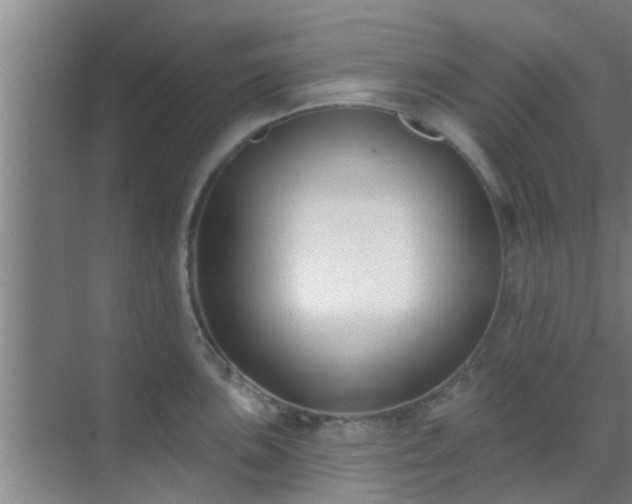 X0000069841051200605261902