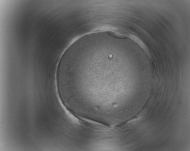 X0000069841055200605261902