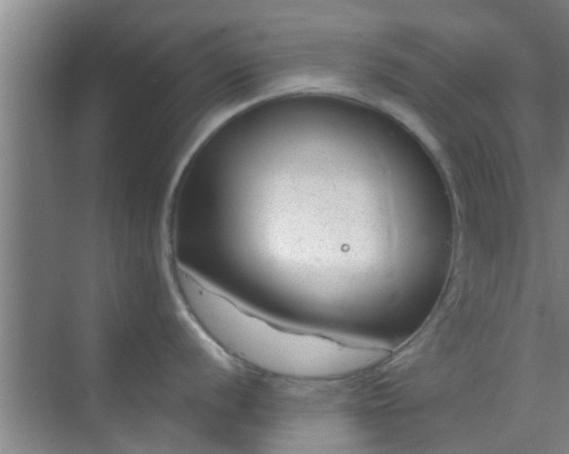 X0000069841056200605261902