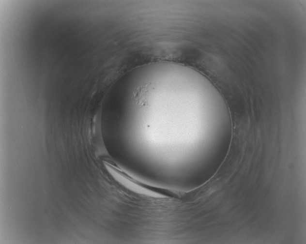 X0000069841058200605261901
