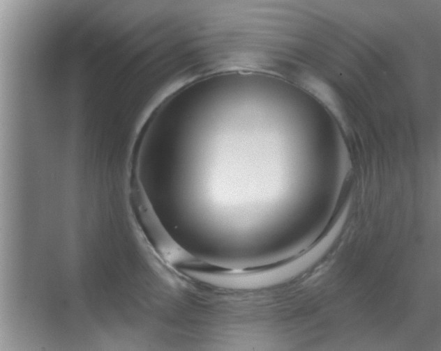 X0000069841146200605261900