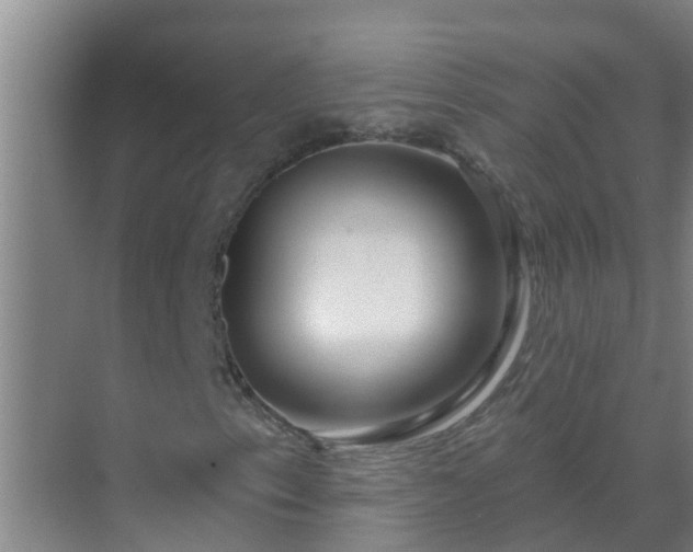 X0000069841153200605261859