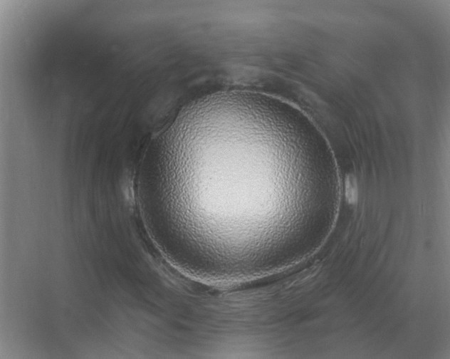 X0000069841155200605261859