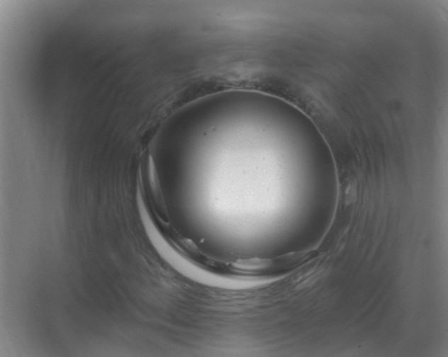 X0000069841156200605261859