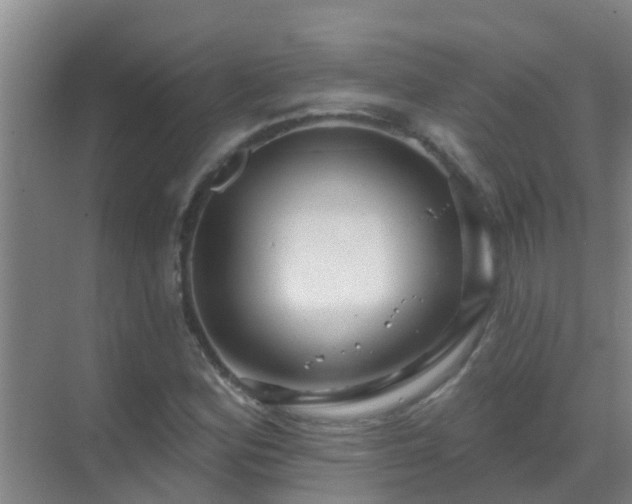 X0000069841164200605261859