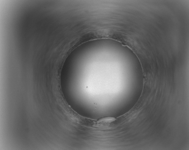 X0000069841201200605261858