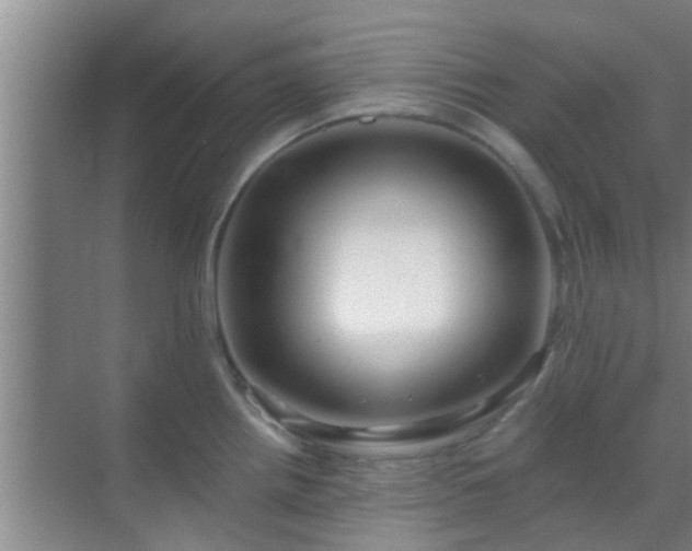 X0000069841242200605261858
