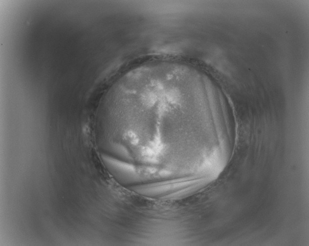 X0000069841254200605261858
