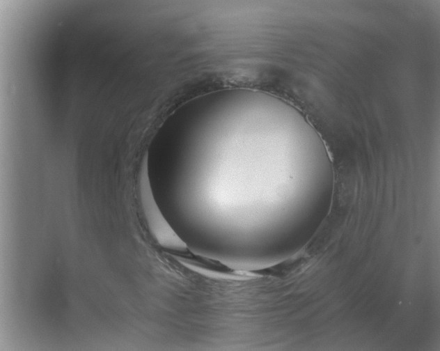 X0000069841345200605261856