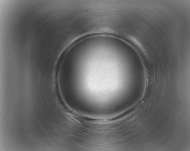 X0000069841364200605261856