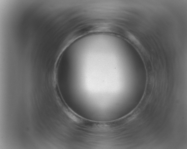 X0000069841370200605261856