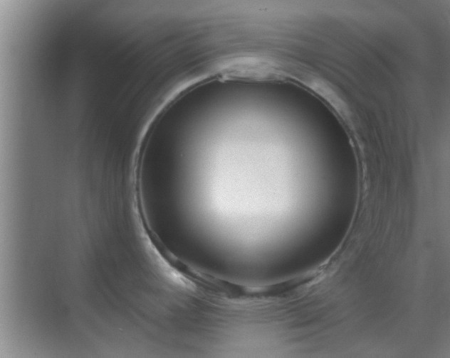 X0000069841392200605261855