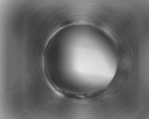 X0000069841476200605261854