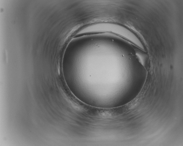X0000069840062200606021412