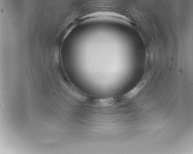 X0000069840188200606021411