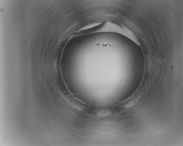 X0000069840258200606021409