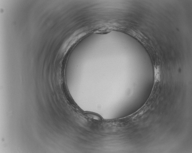 X0000069840291200606021408