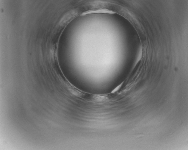 X0000069840333200606021408