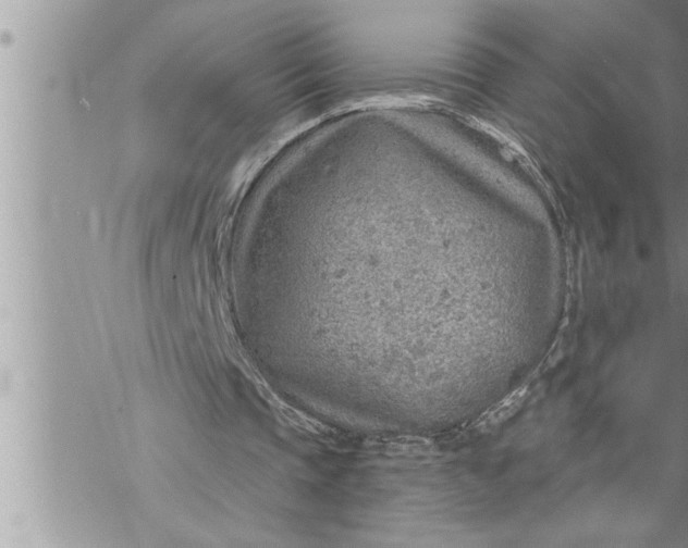 X0000069840337200606021407