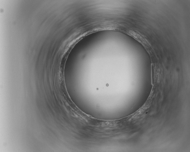 X0000069840338200606021407