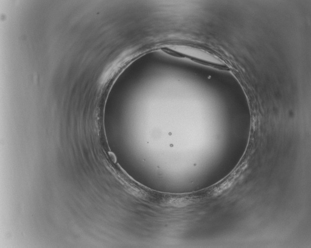 X0000069840341200606021407