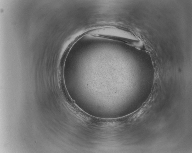 X0000069840342200606021407