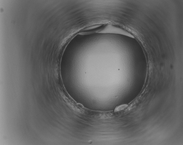 X0000069840345200606021407