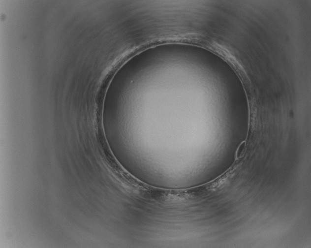 X0000069840346200606021407