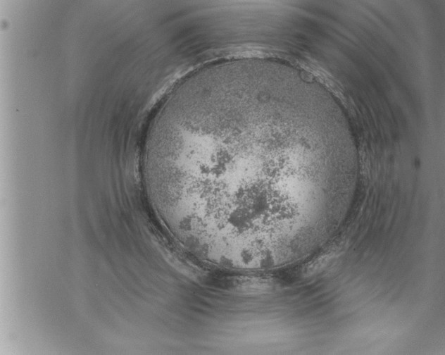 X0000069840347200606021407