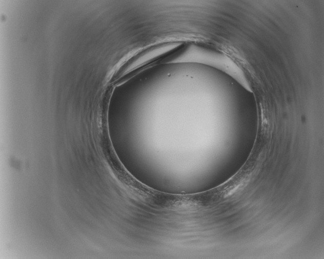 X0000069840348200606021407