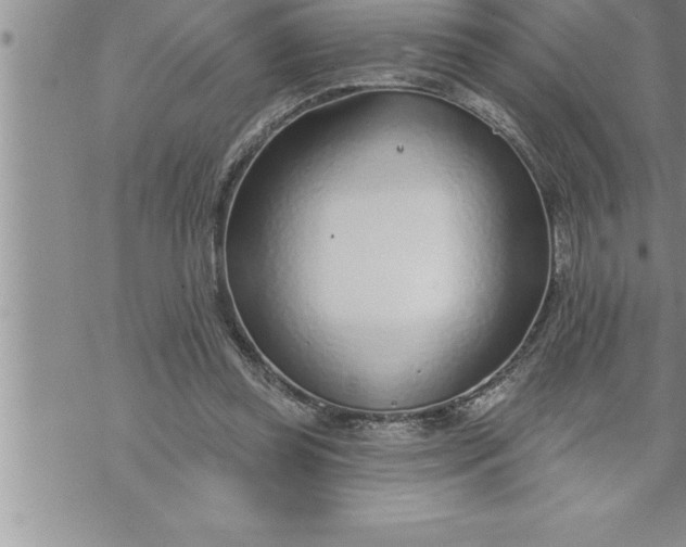 X0000069840349200606021407