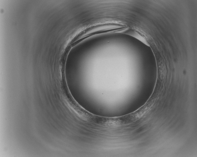 X0000069840350200606021407