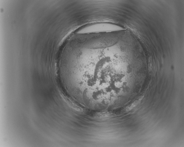 X0000069840351200606021407