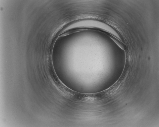 X0000069840352200606021407