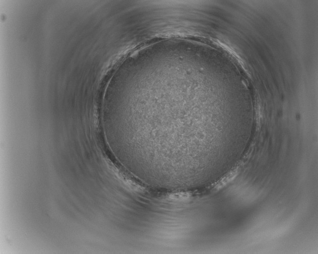 X0000069840353200606021407