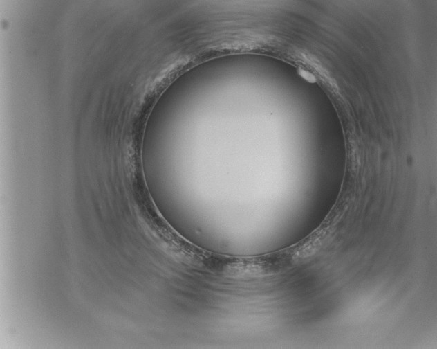 X0000069840354200606021407