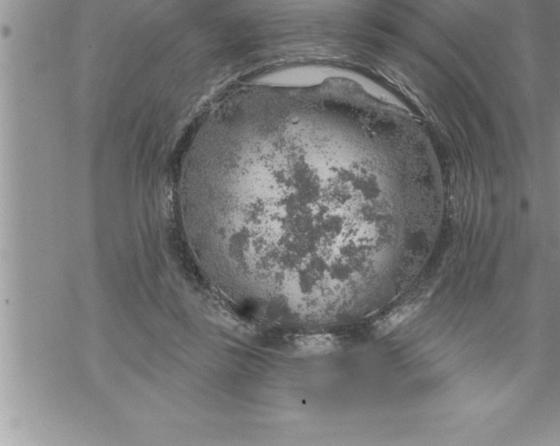 X0000069840355200606021407